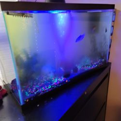 30 Gallon Fish Tank With 5 Fish 