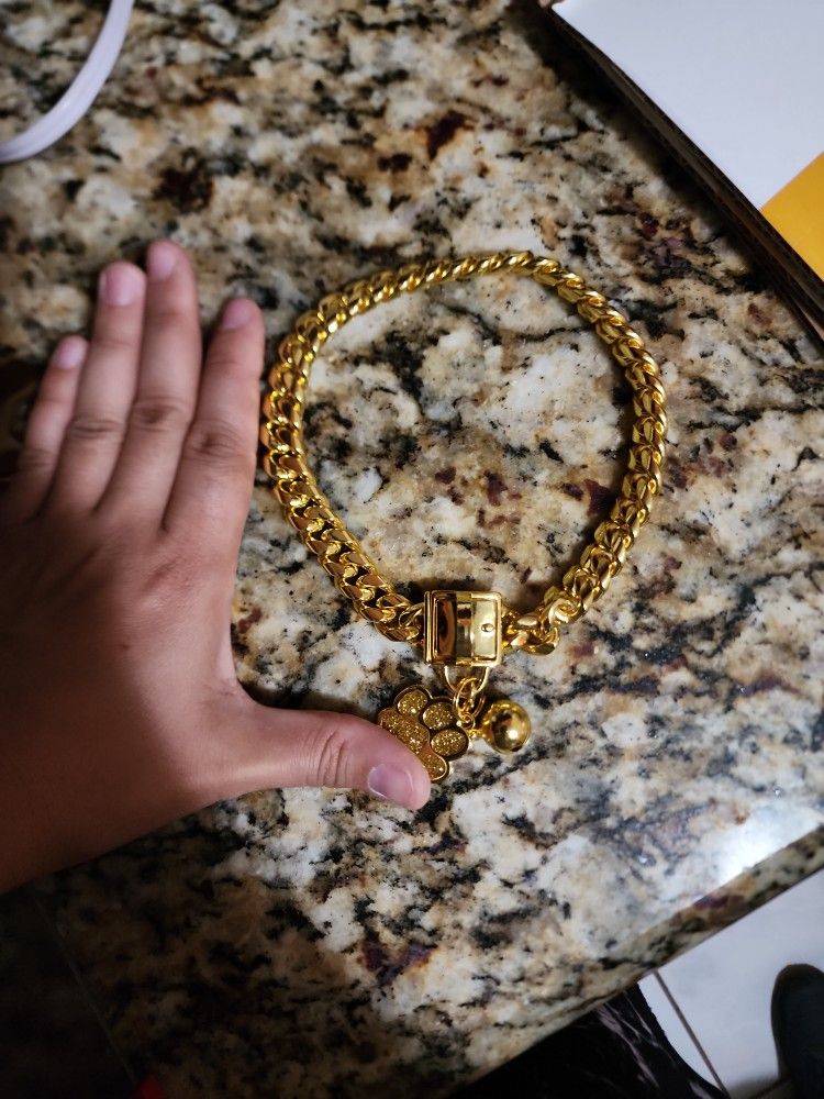 14" Miami Lock Gold Dog Collar 