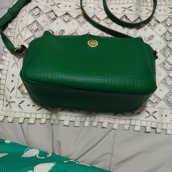 Nice Green Colour Bag(Ann Klein)