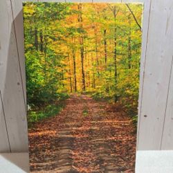 Autumn Pass in October Canvas Print 10x16
