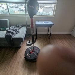 Punching Speed Bag 