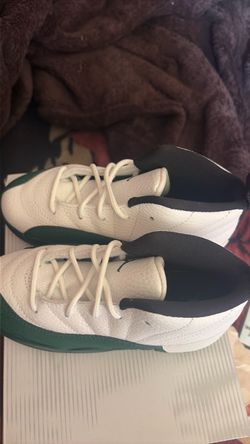 Jordan retro 12