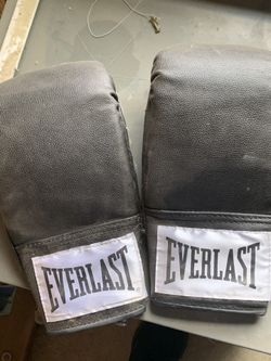 Everlast Heavy Bag