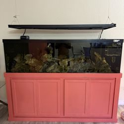 125gal Saltwater System