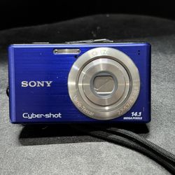Sony Cyber-Shot DSC-W530 14.1 MP Digital Camera