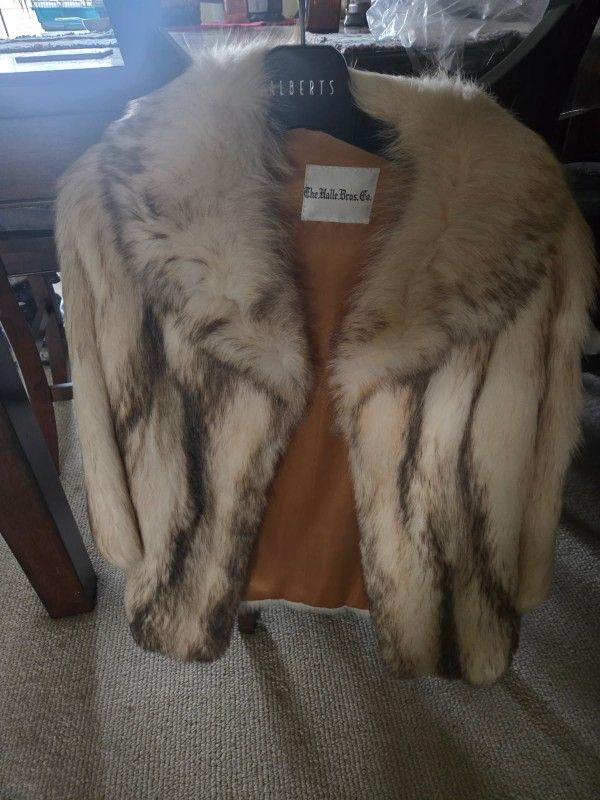 Raccoon Third Coat Medium Length