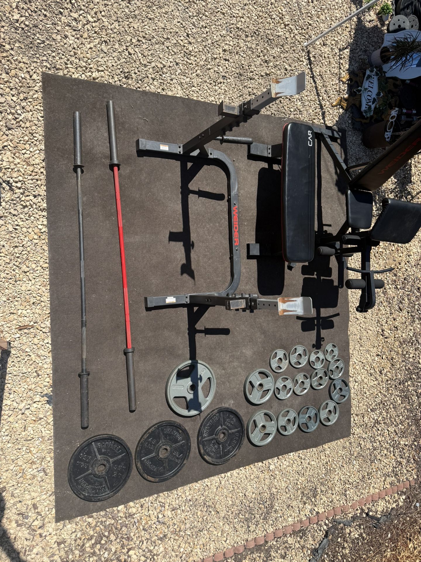 Gym Equipment