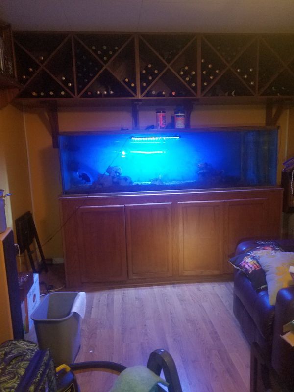 Fish tank 200 gallon for Sale in San Antonio, TX - OfferUp