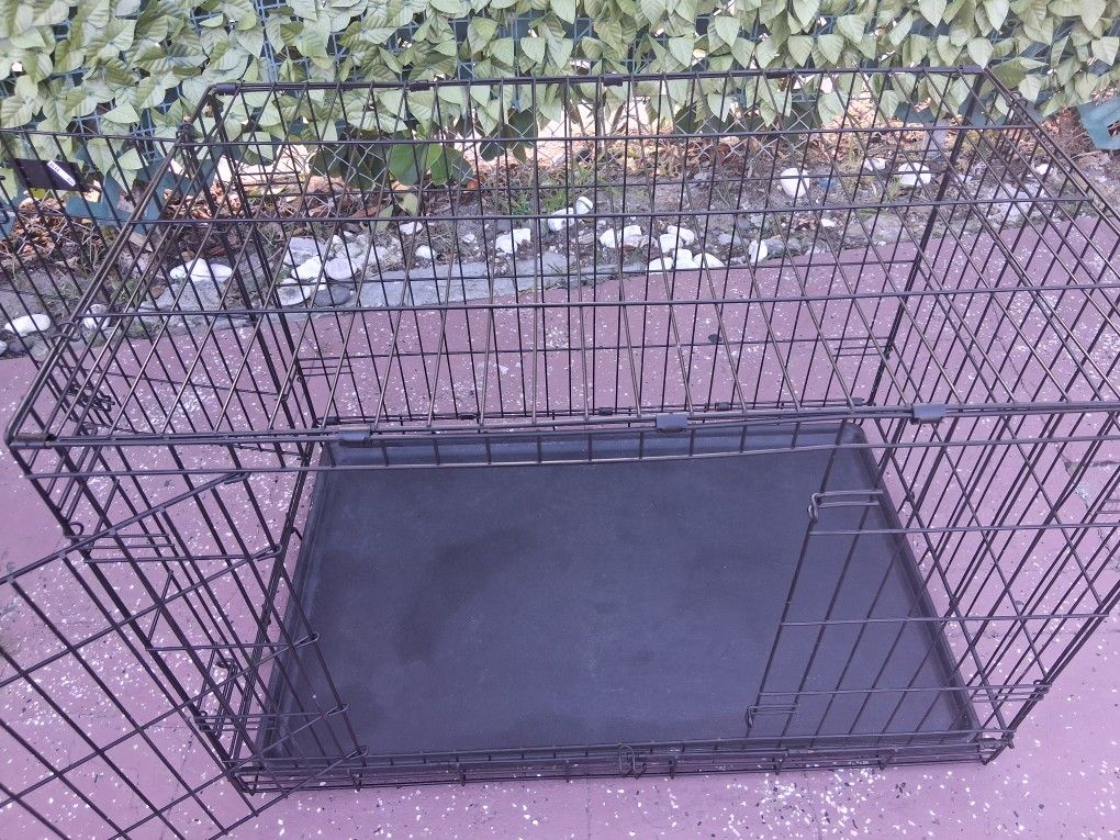 Dog Cage