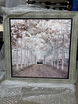 Hall Of Trees