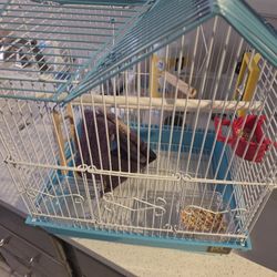 Little Bird Cage 