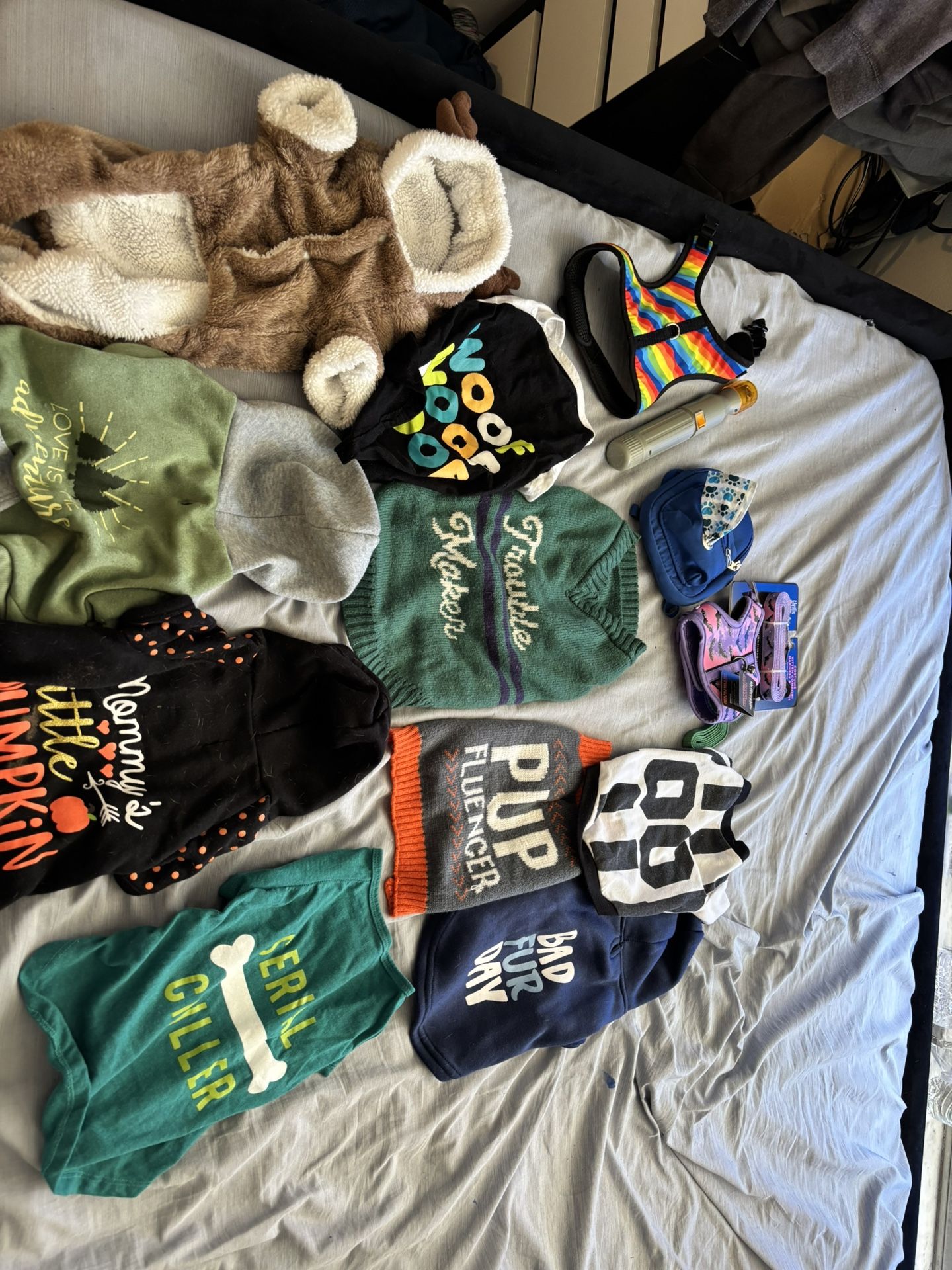 Small Dog Set