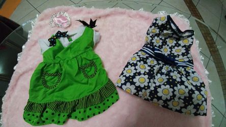 Pets clothes