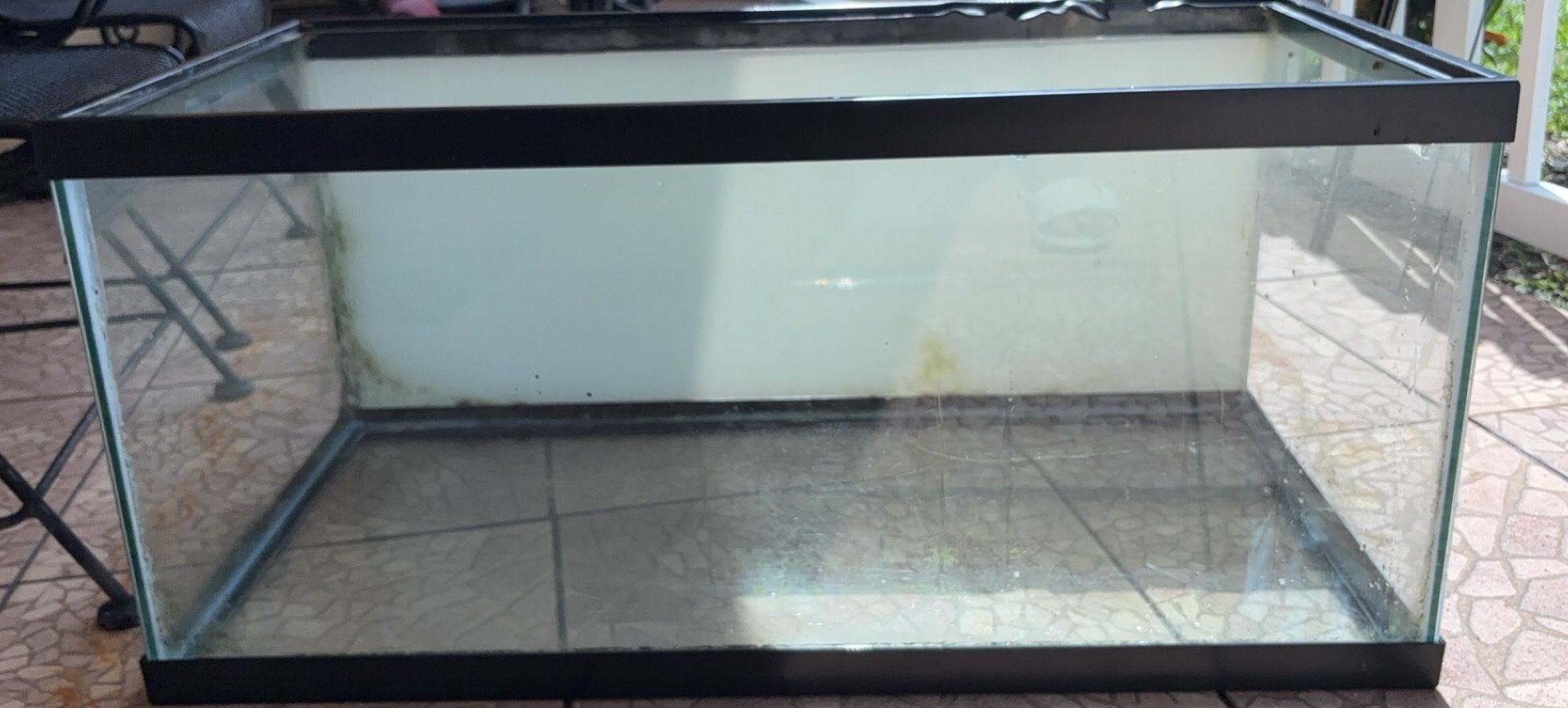 Fish Tank
