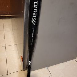 Younger Baseball Bat 31 Inch