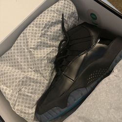 DS Jordan 11 Gammas