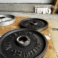 22Lb Plates
