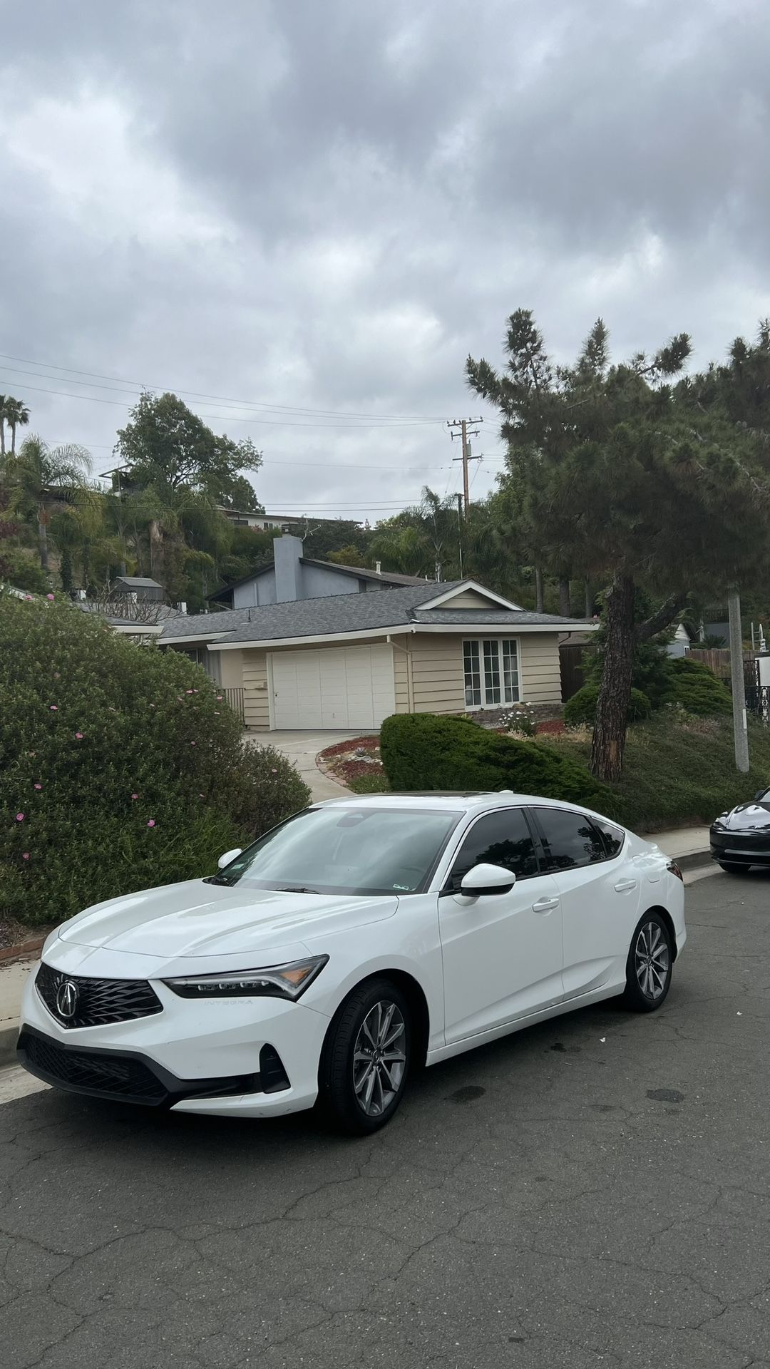 Window Automotive Tint Film