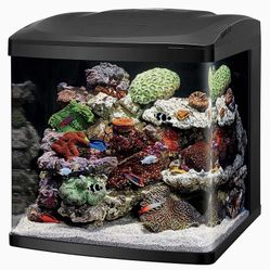 32 Led Biocube