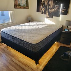  Queens Size Bed, Box Spring And Frame