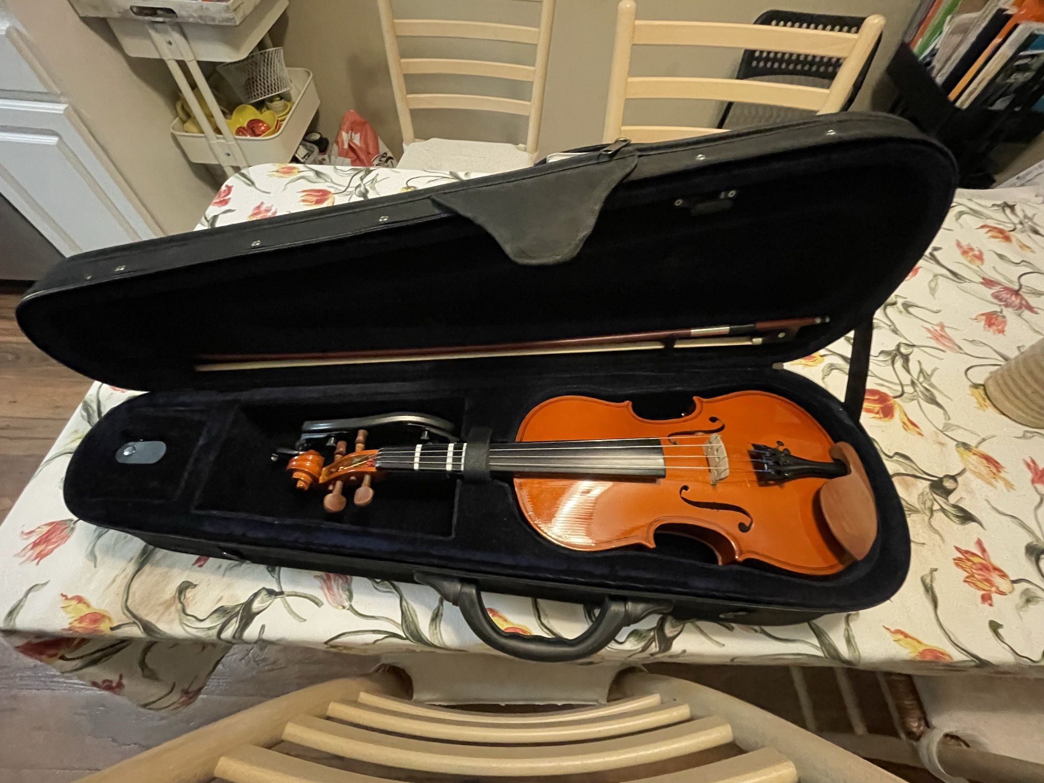 Violin