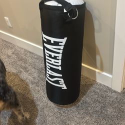 Boxing Bag