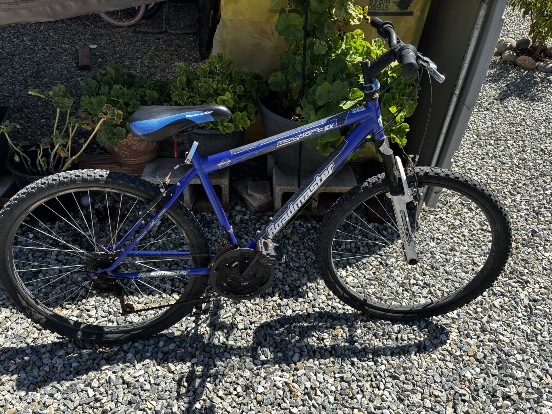 Roadmaster blue bike