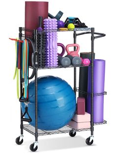 Gym storage rack