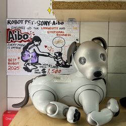 Robotic puppy