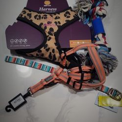 Dog - Harnesses, Collar, Rope Toy - Various Prices