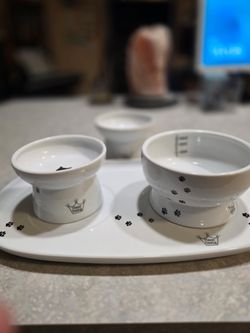 Necoichi ceramic cat dishes