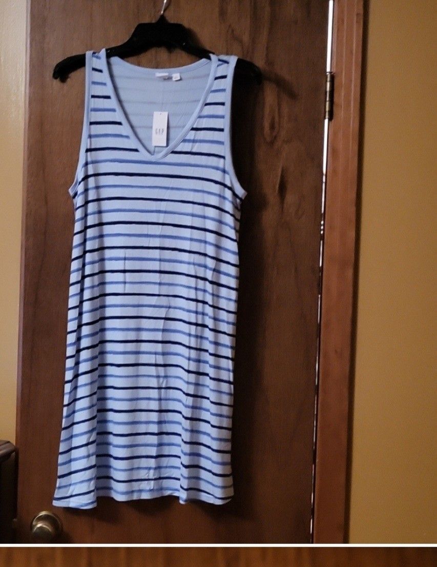 Gap Dress 