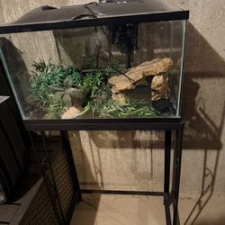 Small Fish Tank