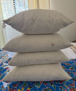 (4) pillow forms 20 x 20