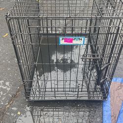 Medium Dog Kennel