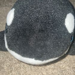 Orca plushie