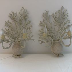 Wall Sconces 