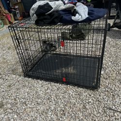 Big Dog Crate 