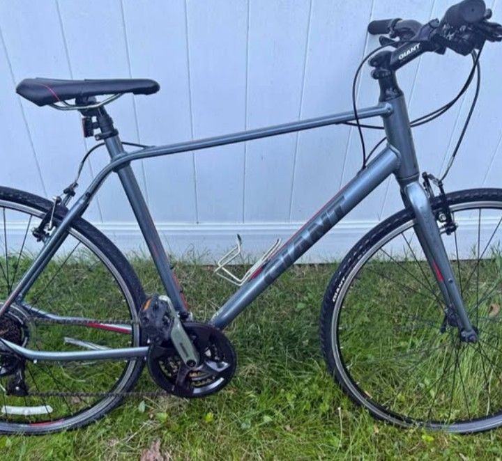 Giant Escape 2 Hybrid City Bike
