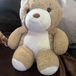 Teddy Bear 🧸 $10.00