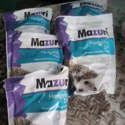 Hedgehog Food