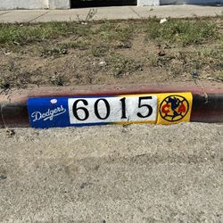 Dodger X Club America Curb