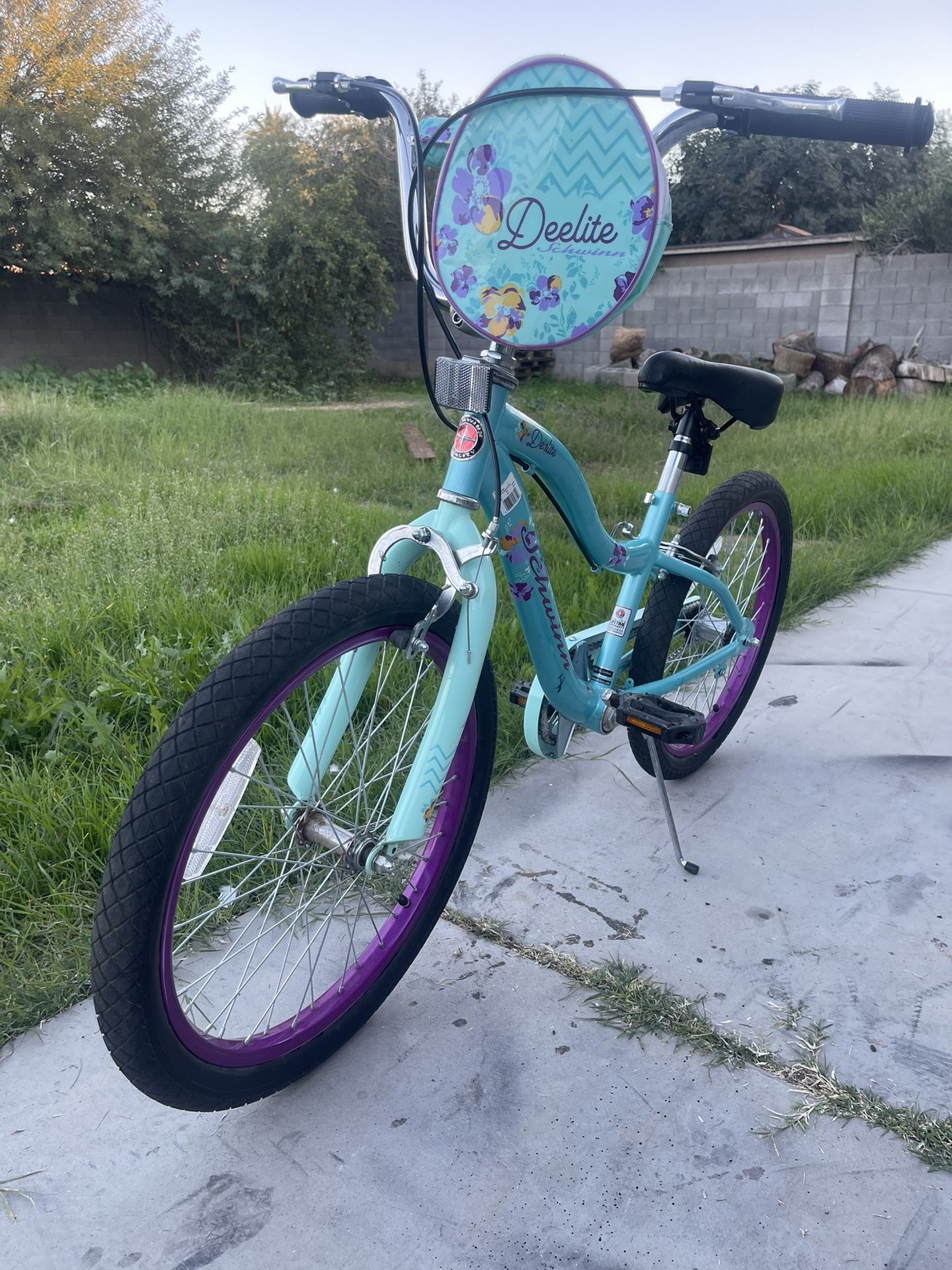 Girls Schwinn Bike(20’)