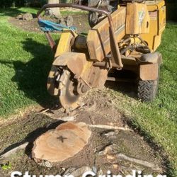 Stump Remove Trailer Trash