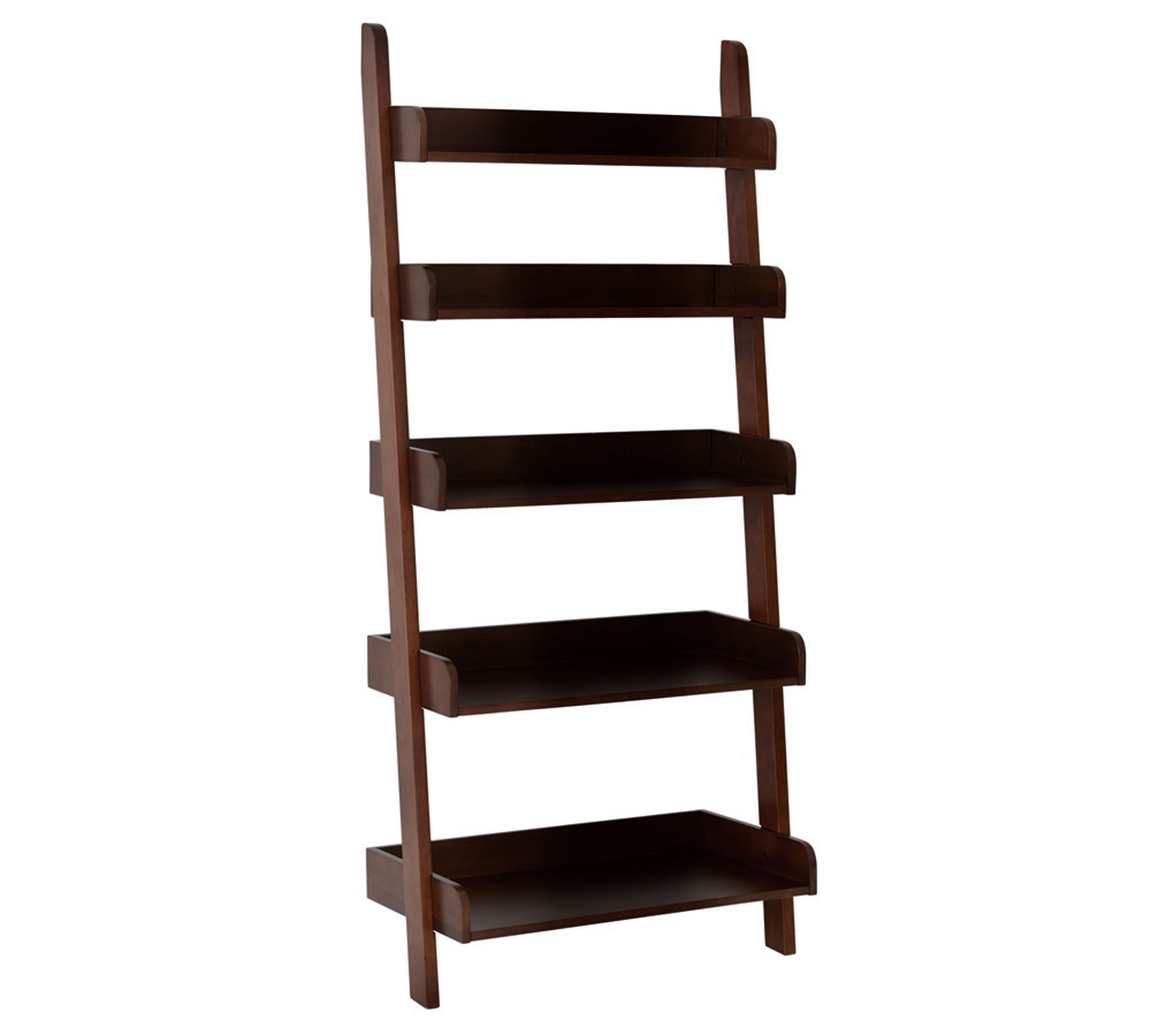 Crate & Barrel Bookshelf Ladder