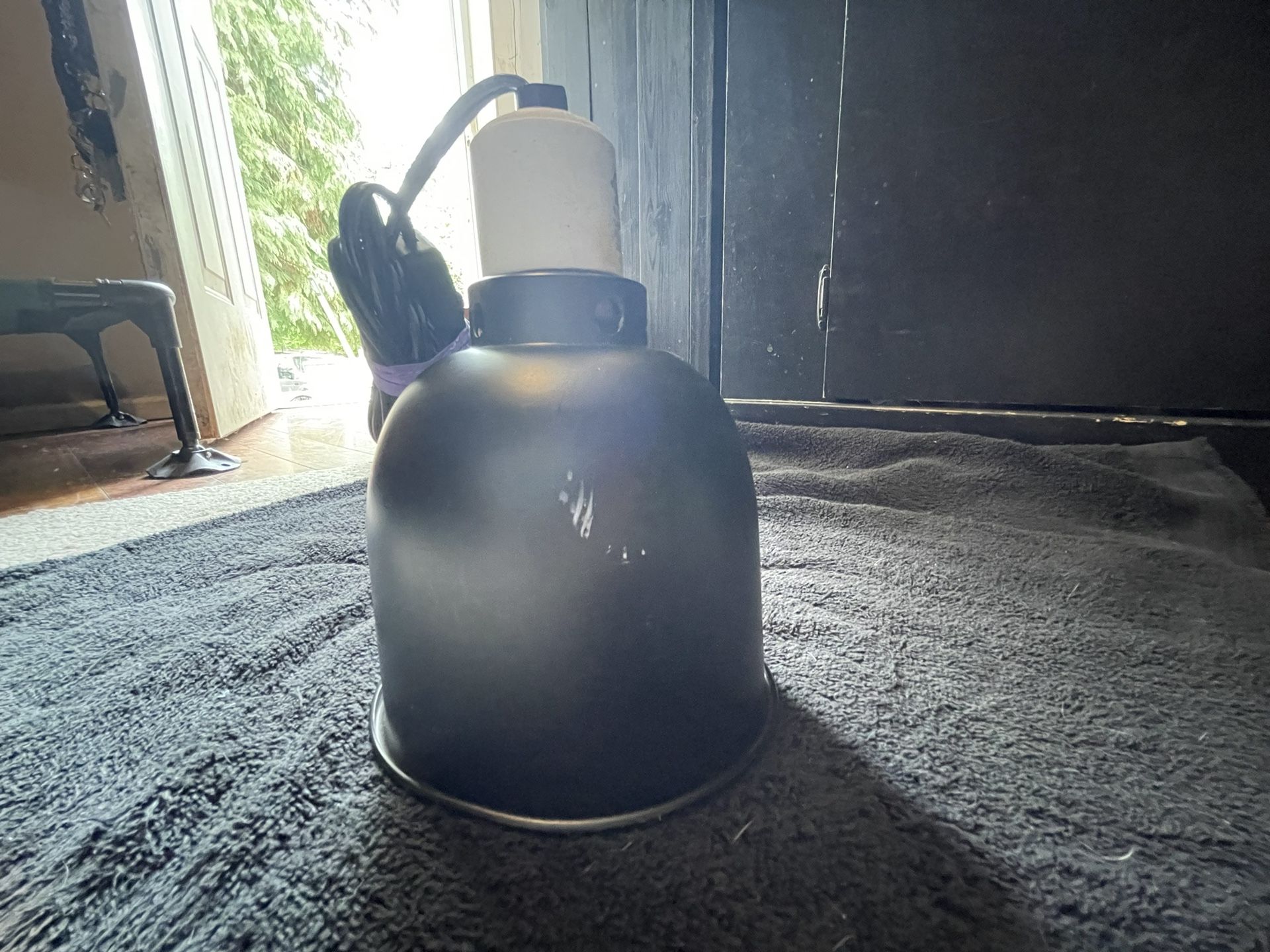 Reptile Lamp