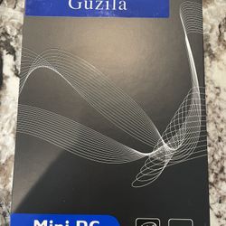 Guzila Mini PC