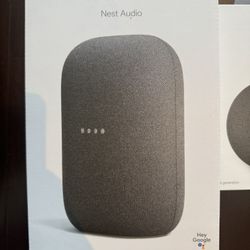 Google Nest Speaker Set