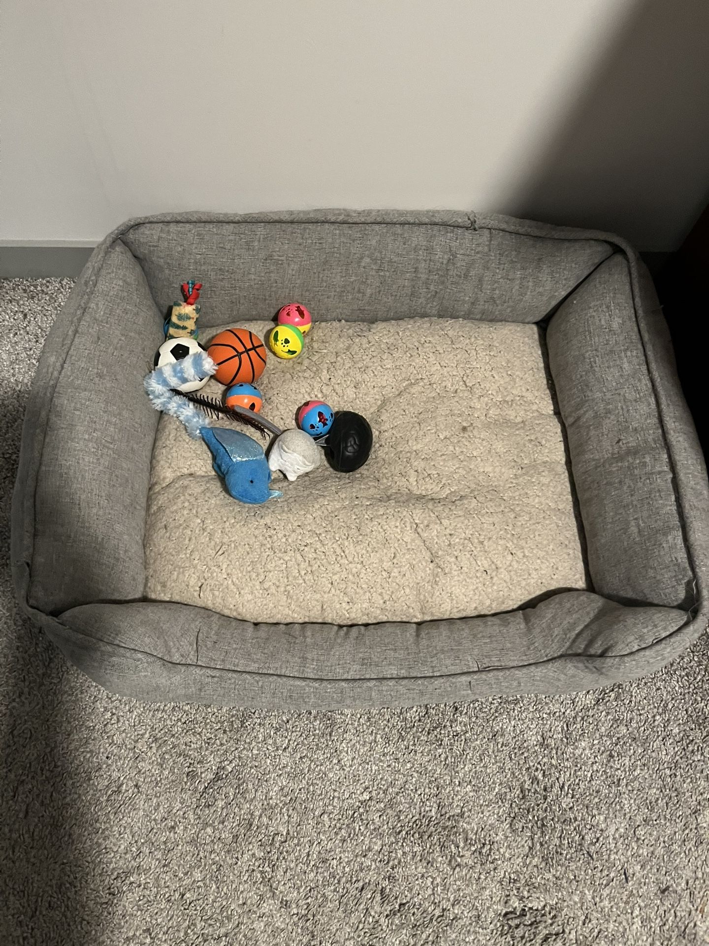 Cat Bed