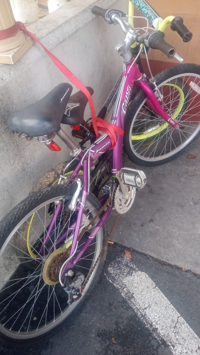Jamis Bike 24 Inch Capri 2004 2-4 $25 Works Great